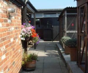Our Kennels