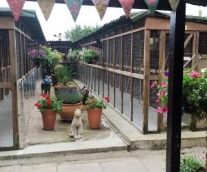 Kennels